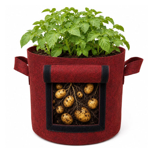 Grow Bags for Root Vegetables, Geo Fabric 400 GSM Plant Bag (Maroon Color, Pack of 1)