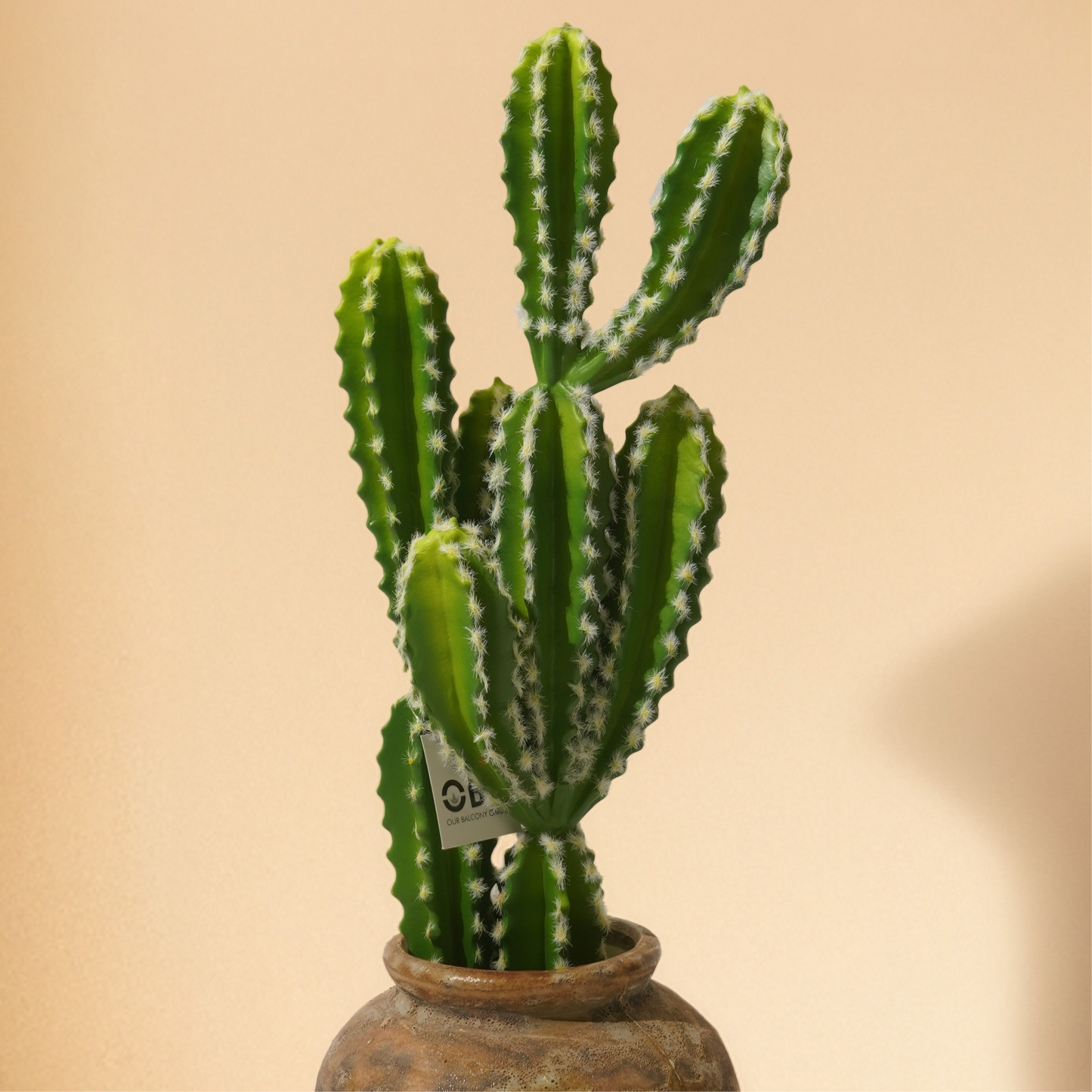 Cactus Plant (56cm) No Pot