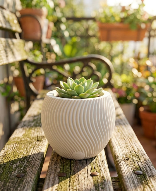 Desk Spiral Pot (only pot)