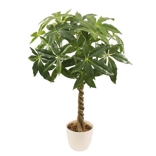 Fortune Bonsai Artificial Plant (55CM) No Pot