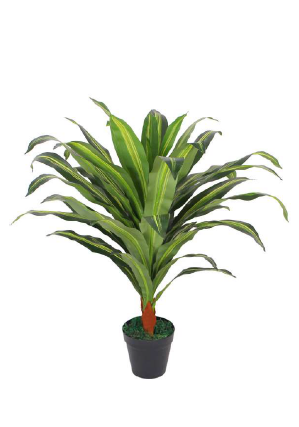 DRACAENA PLANT ARTIFICIAL PLANT