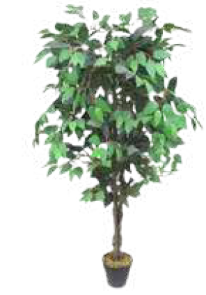 FICUS PLANT ARTIFICIAL PLANT