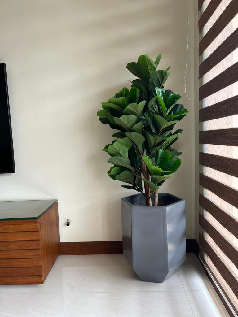 Artificial Fig (Without Pot)- 4ft