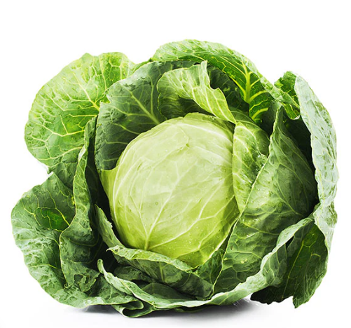Cabbage Seeds