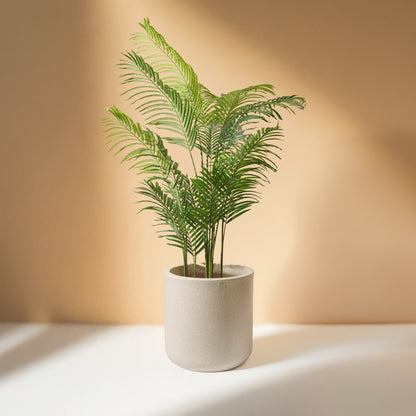 Areca Palm Tree Artificial Plant (180cm) No Pot