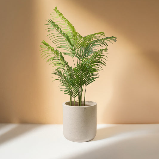 Areca Palm Tree Artificial Plant (180cm) No Pot