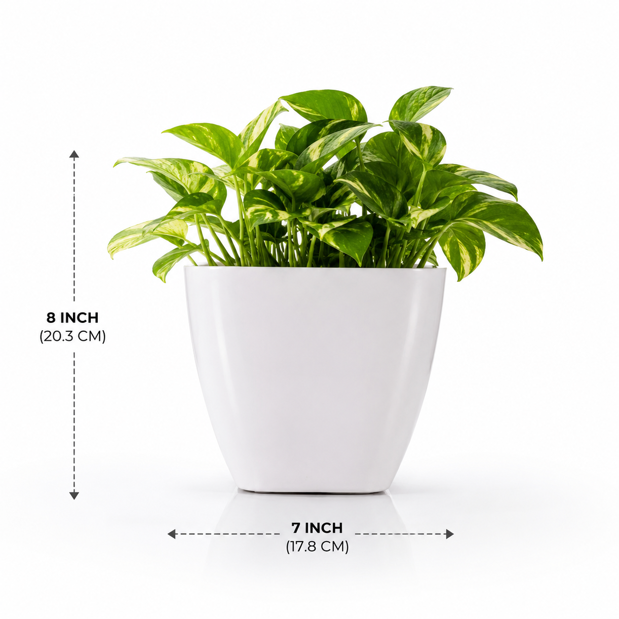8 Inch Premium White Square Tapered Plastic Planter Pot | Modern Indoor Decorative Flower Pot