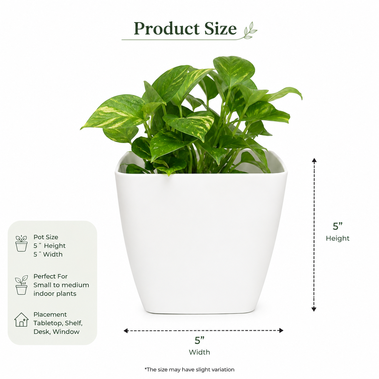 5 Inch Plain White Square Planter Pot | Modern Minimalist Indoor Plant Pot for Home & Office