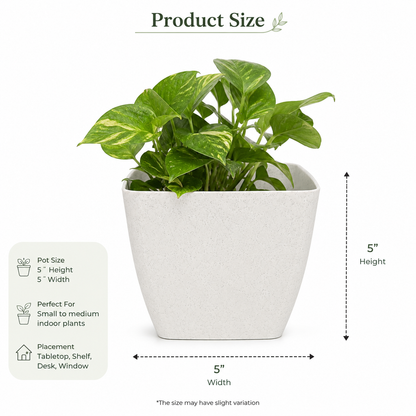 5 Inch Square White Speckled Decorative Plant Pot | Modern Indoor Planter for Home & Office