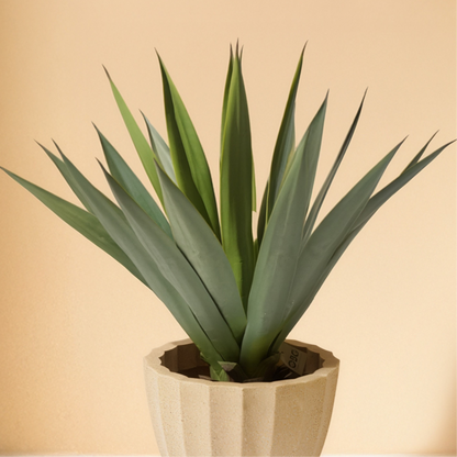 Yucca Artificial Plant (73CM) No Pot