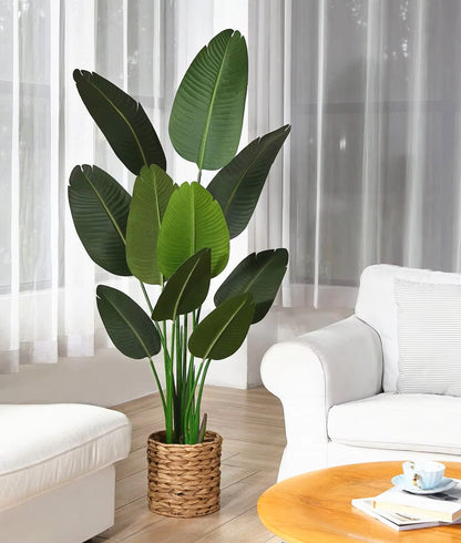Bird of Paradise(115CM) No Pot