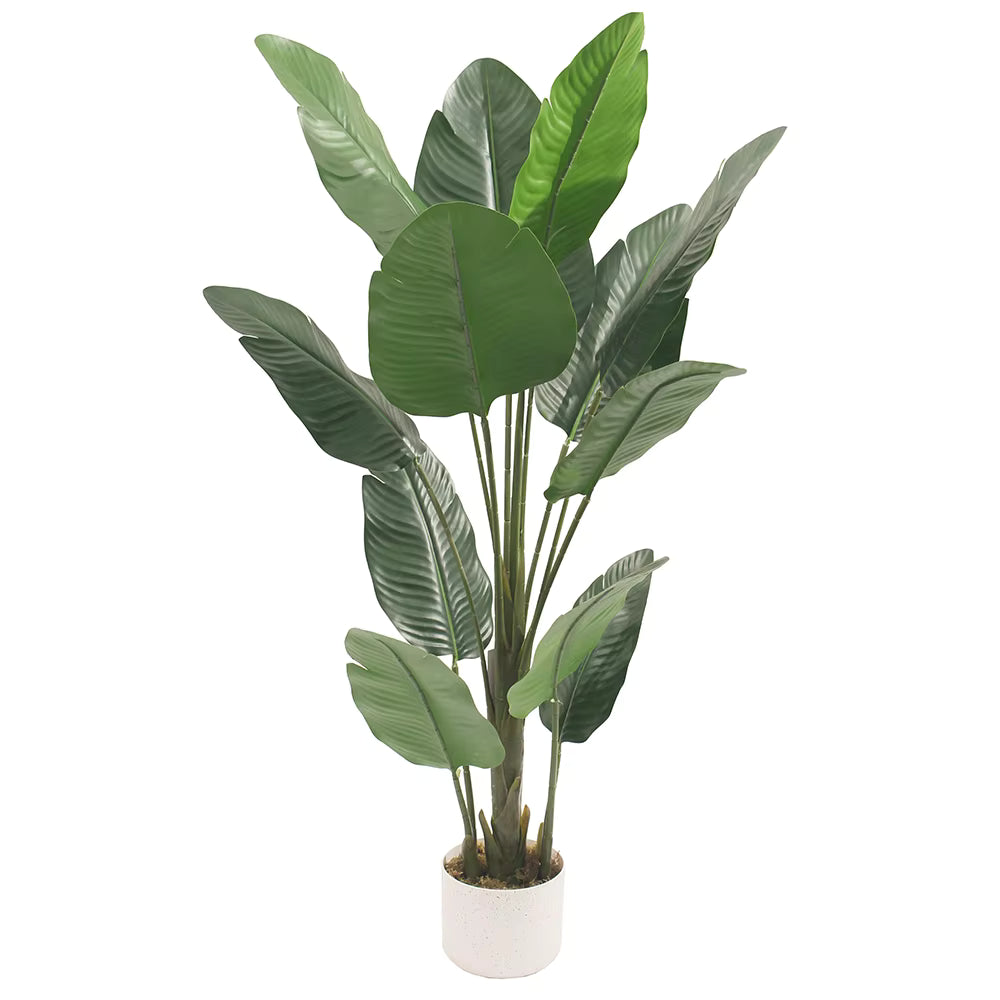 Bird of Paradise Mini (120cm) No Pot
