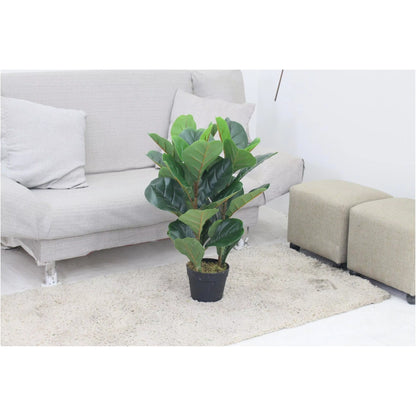 Fiddle Artificial Plant (70CM) No Pot