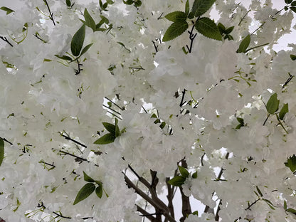 Cherry Tree (250CM) No Pot O352