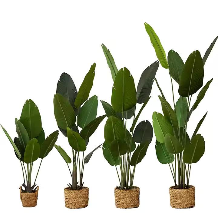 Traveller's Palm Artificial Plant (200CM) No Pot