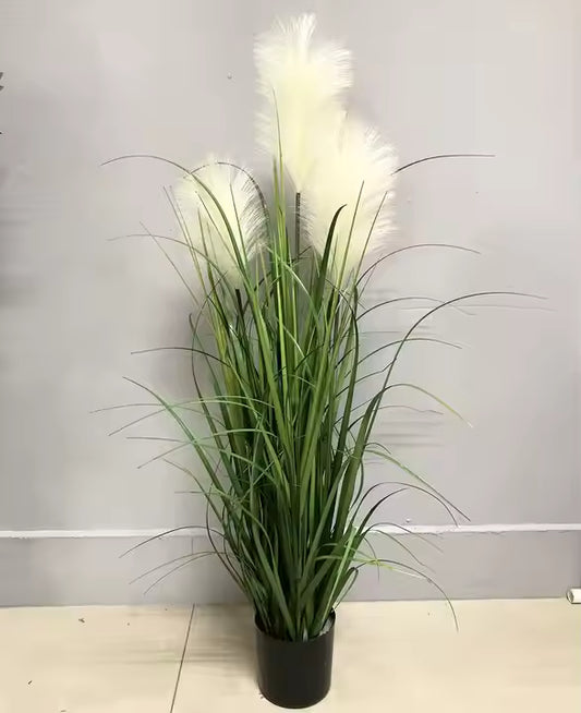 Grass Plant Artificial White Flower (95CM) No Pot