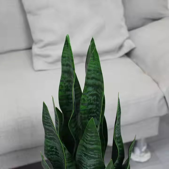 Sansevieria - Snake Artificial Plant (90CM) No Pot