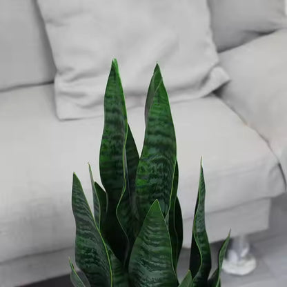 Sansevieria - Snake Artificial Plant (90CM) No Pot