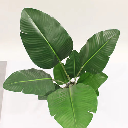 Bird of Paradise Mini (120cm) No Pot