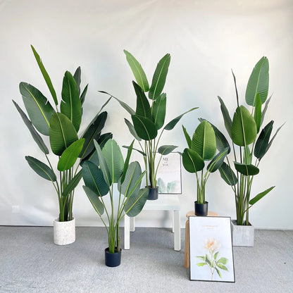 Bird of Paradise(115CM) No Pot