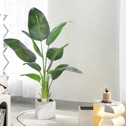 Bird of Paradise(115CM) No Pot