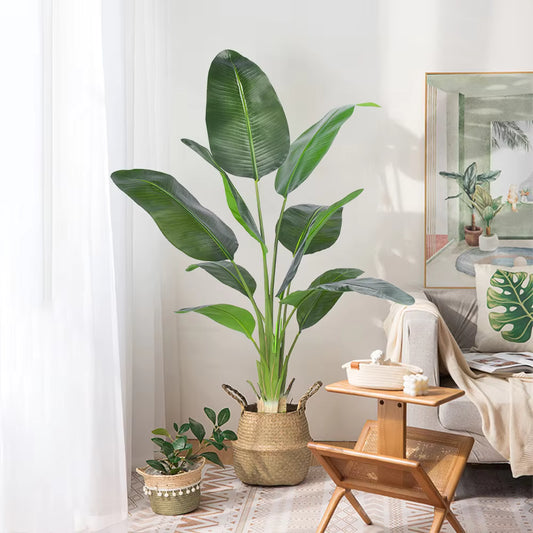 Bird of Paradise(115CM) No Pot