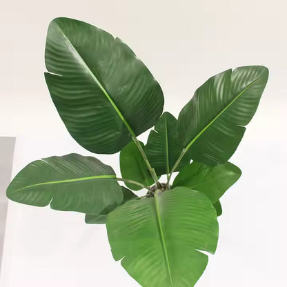 Bird of Paradise Mini (120cm) No Pot