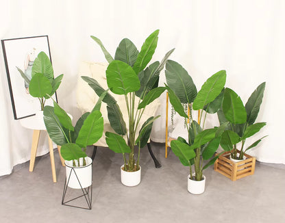 Bird of Paradise Mini (120cm) No Pot