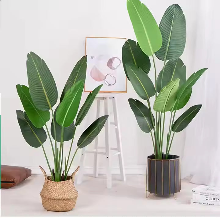 Bird of Paradise(115CM) No Pot