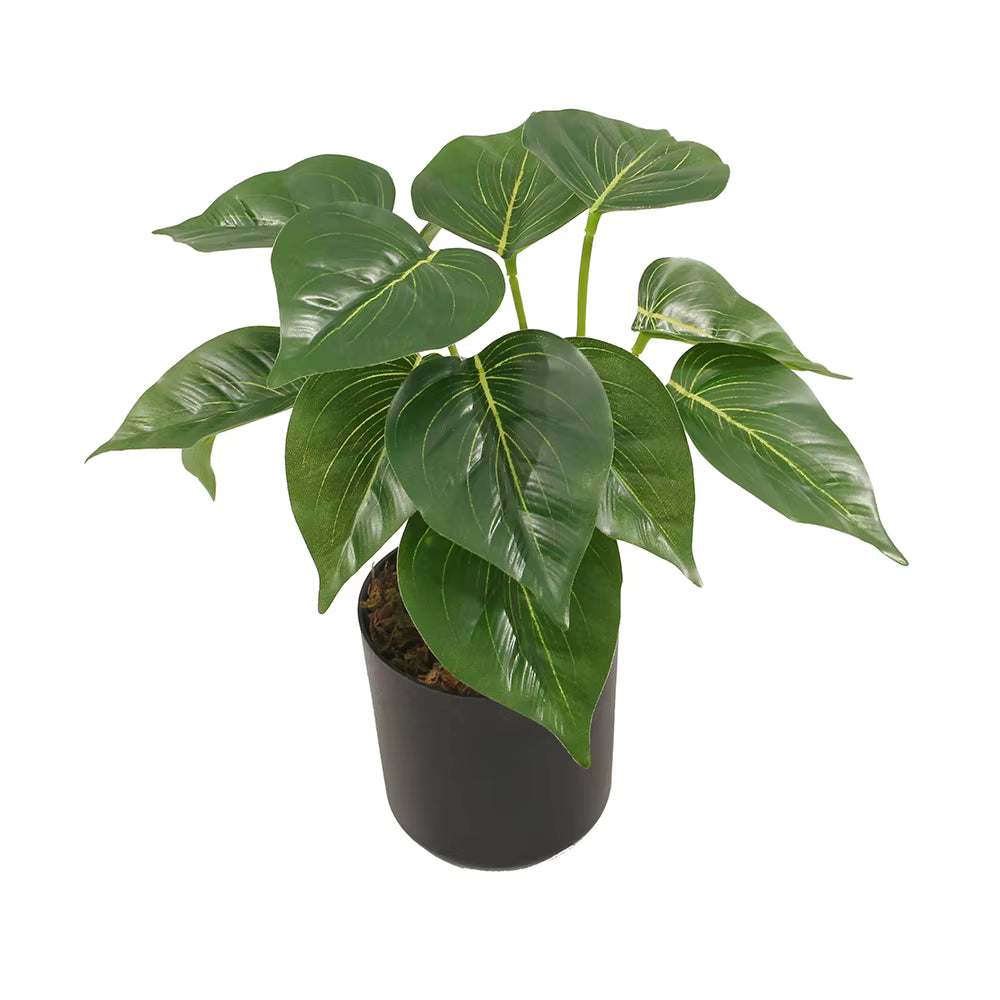 Mini Taro Artificial Plant (45CM) No Pot