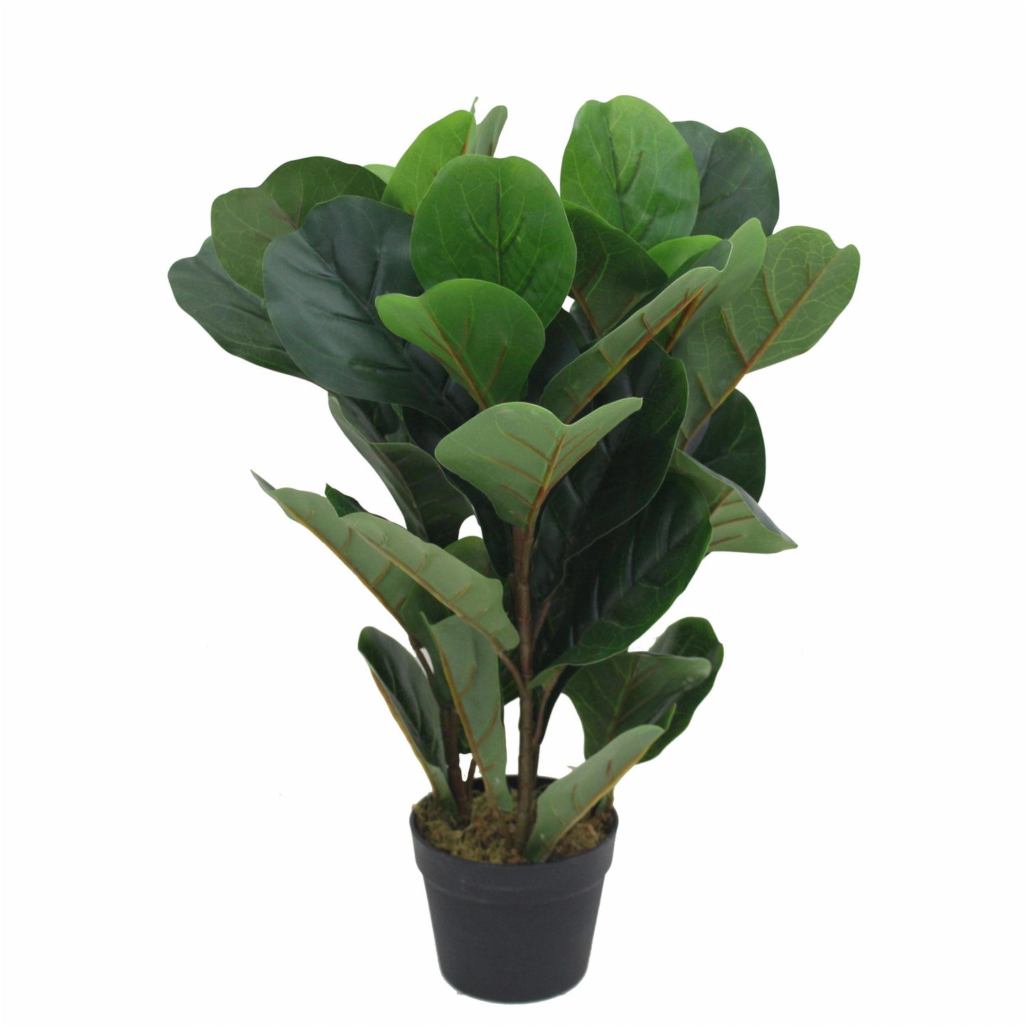 Fiddle Artificial Plant (70CM) No Pot