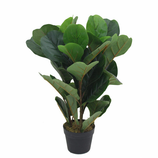 Fiddle Artificial Plant (70CM) No Pot