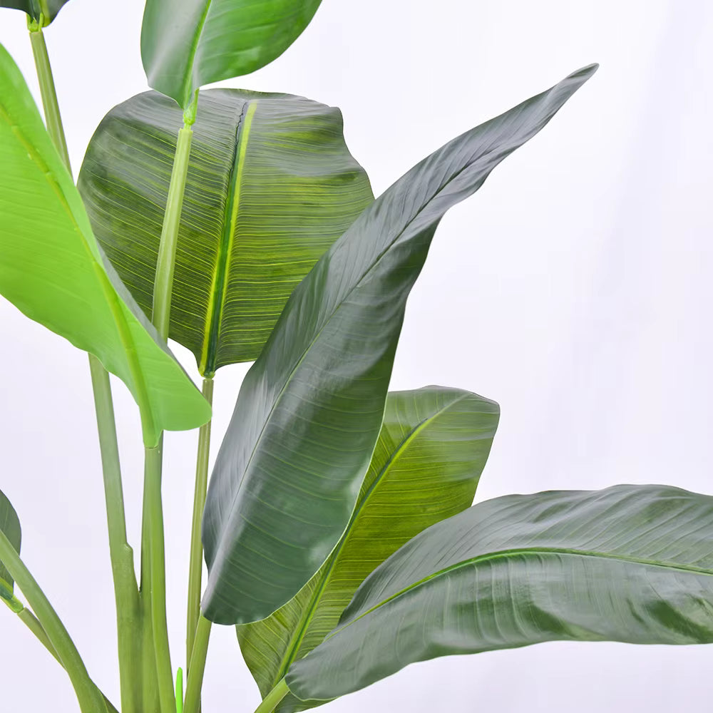 Bird of Paradise(115CM) No Pot