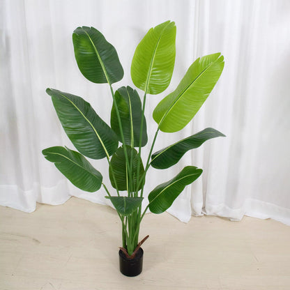 Bird of Paradise(115CM) No Pot