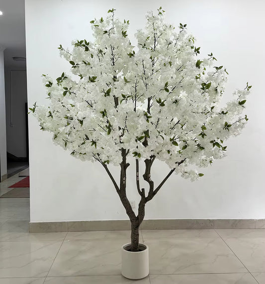 Cherry Tree (250CM) No Pot O352