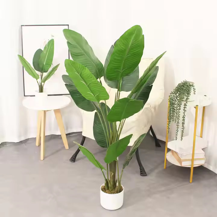Bird of Paradise Mini (120cm) No Pot