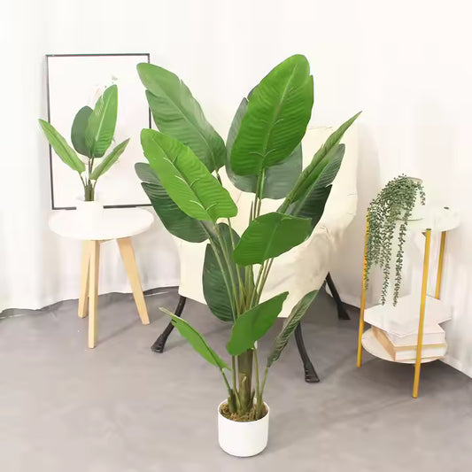 Bird of Paradise Mini (120cm) No Pot