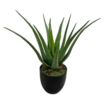 Aloe Artificial Plant (45cm) No Pot