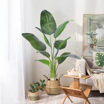 Bird of Paradise(115CM) No Pot