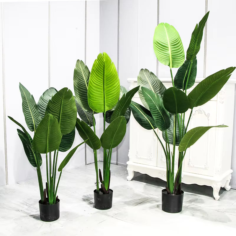Bird of Paradise(115CM) No Pot