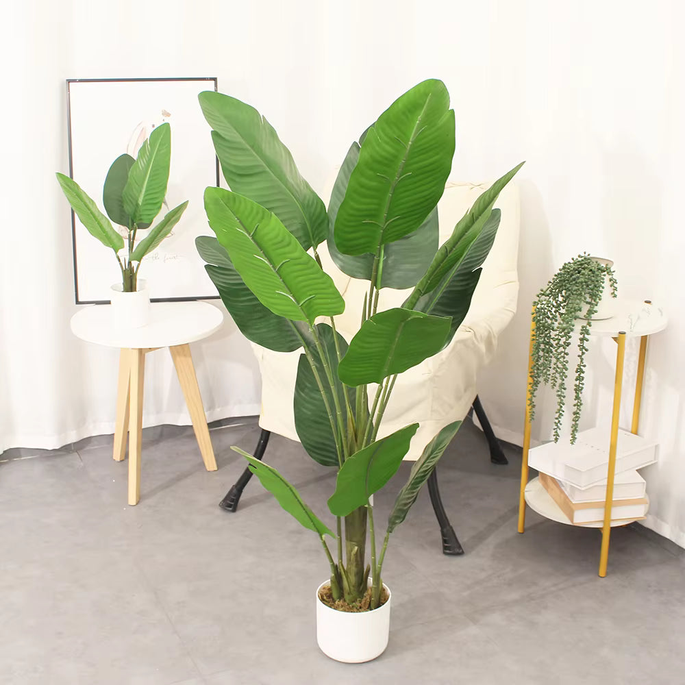 Bird of Paradise Mini (120cm) No Pot