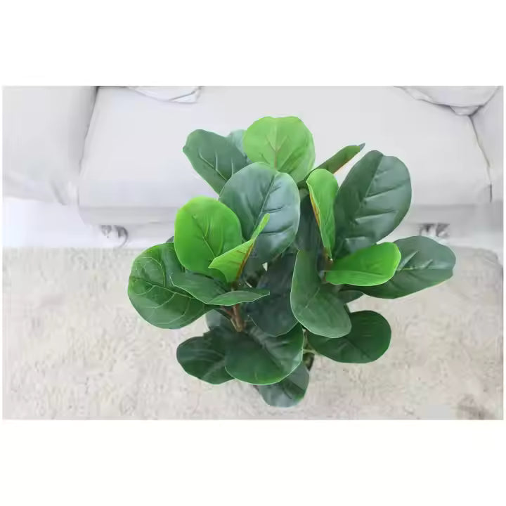Fiddle Artificial Plant (70CM) No Pot