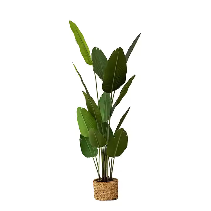 Traveller's Palm Artificial Plant (200CM) No Pot