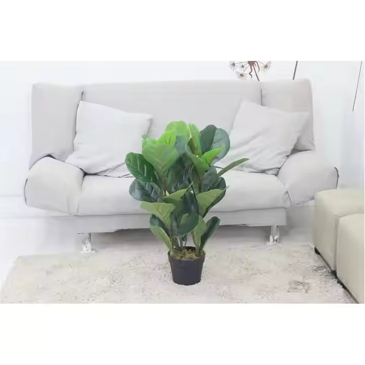 Fiddle Artificial Plant (70CM) No Pot