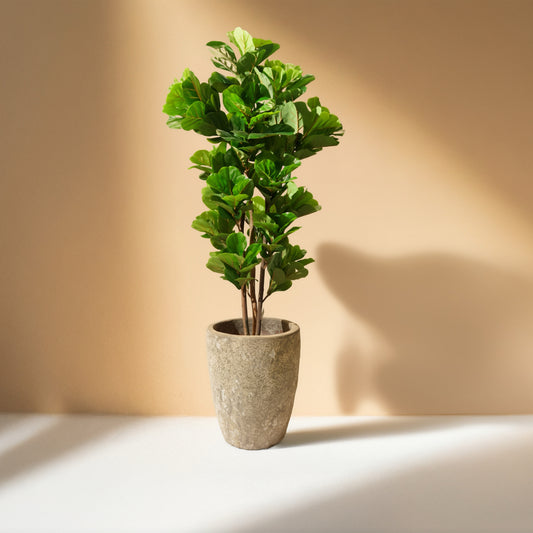 Fiddle Artificial Tree (180CM) No Pot