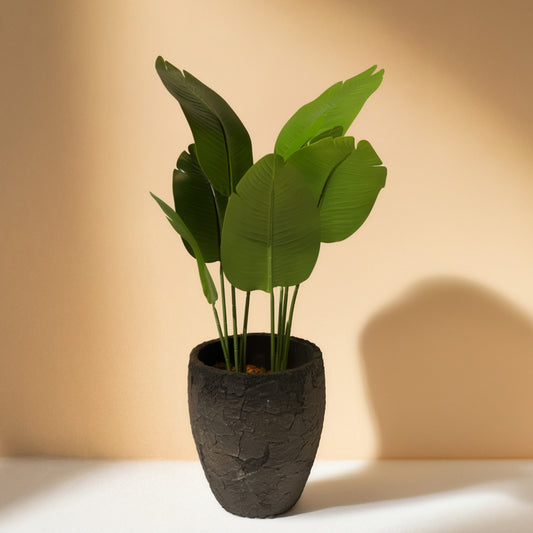 Bird of Paradise(115CM) No Pot