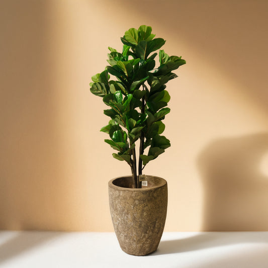 Fiddle Artificial Tree (150CM) No Pot