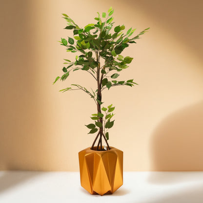 Ficus (120CM) No Pot