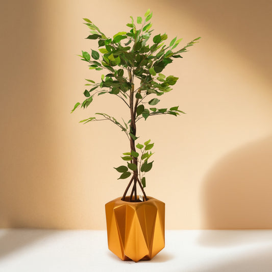 Ficus (120CM) No Pot