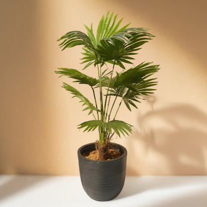 Fan Palm with Pure Palm Fiber Artificial Plant (120CM) No Pot